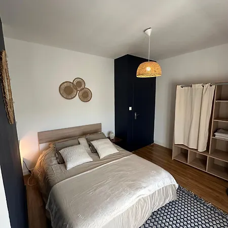 Jfk13 Cocoon Hypercentre Fibre Et Vue Sancy Apartman