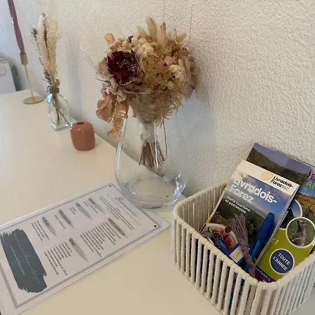 Apartman Jfk13 Cocoon Hypercentre Fibre Et Vue Sancy *