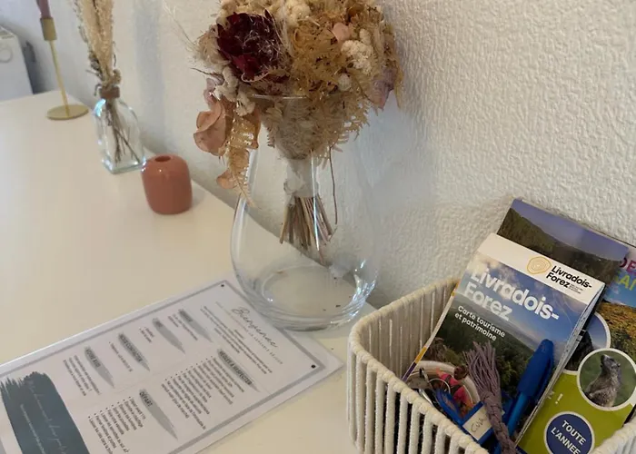 Appartamento Jfk13 Cocoon Hypercentre Fibre Et Vue Sancy *