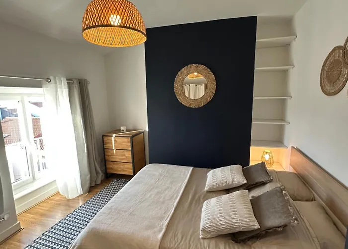 Jfk13 Cocoon Hypercentre Fibre Et Vue Sancy *